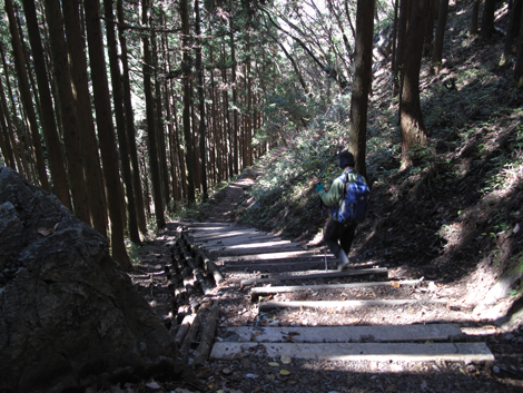 20151127hike (214)